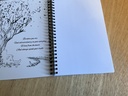 IMG_1081.jpeg